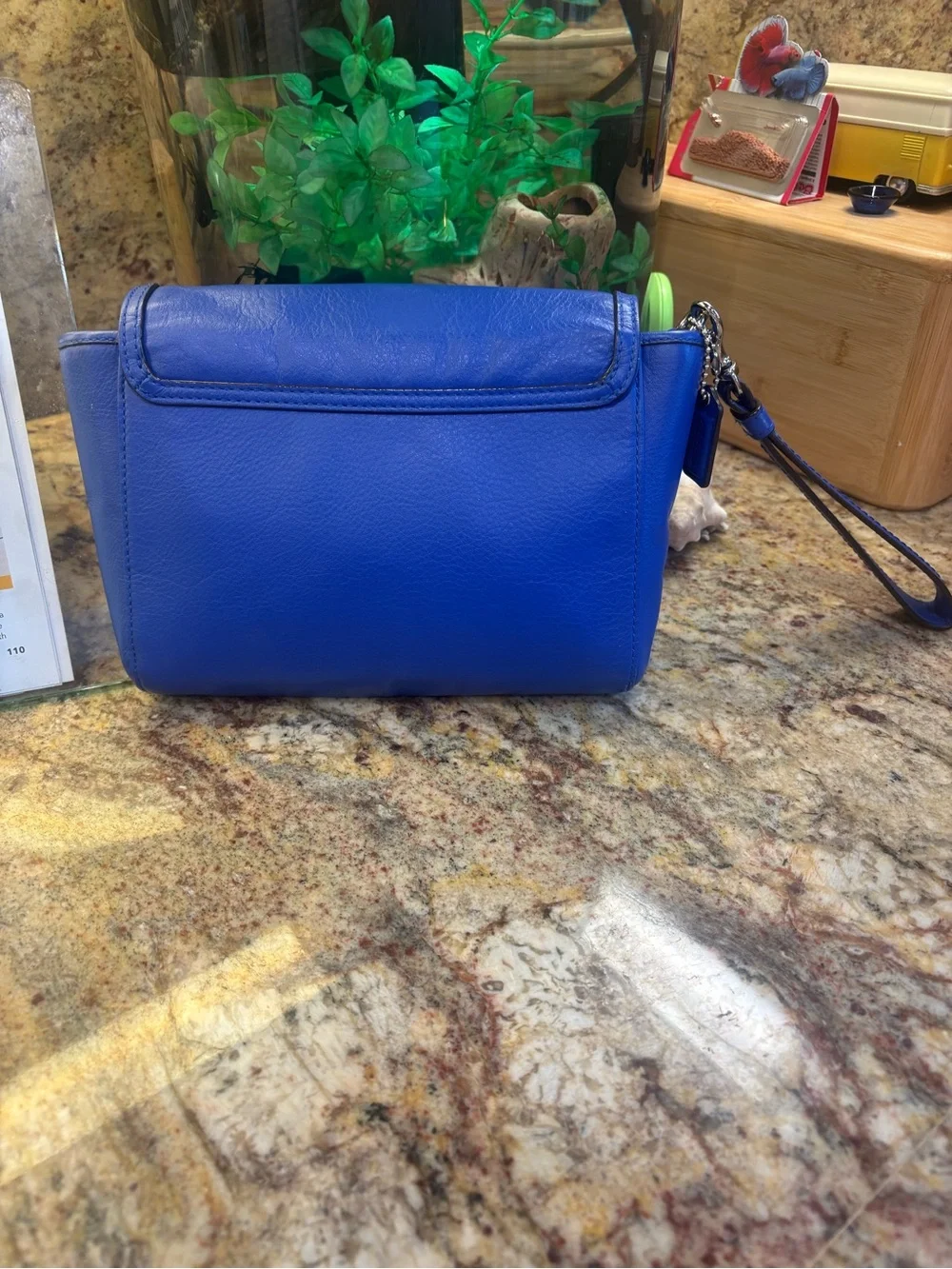 COACH Taylor Distressed Leather Wristlet/Clutch